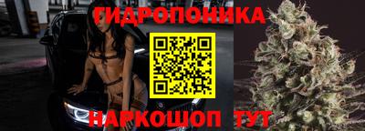 трава Бийск