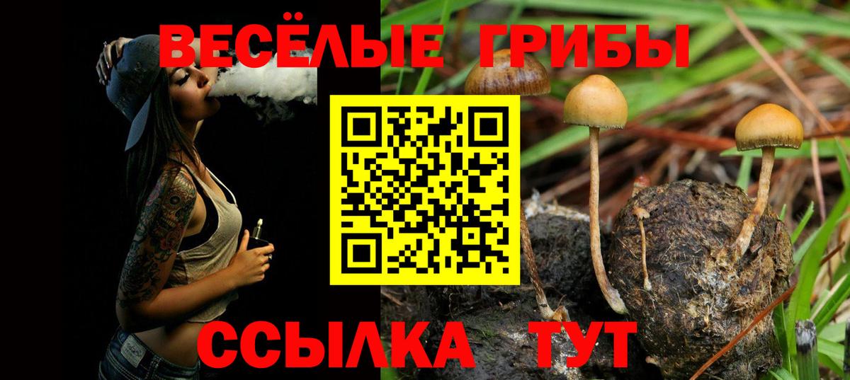 Гурьевск  Псилоцибиновые грибы Magic Shrooms  Вход с VPN 