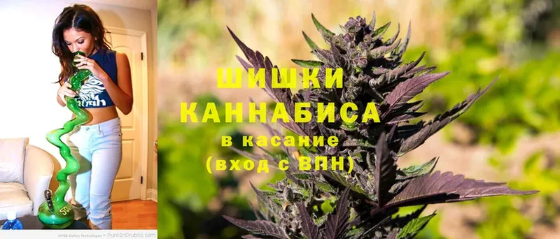 Бошки Шишки SATIVA & INDICA  Гурьевск 