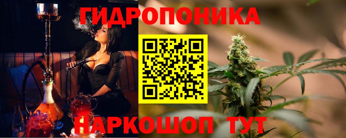 Бошки Шишки LSD WEED  МАРИХУАНА LSD WEED  МАРИХУАНА семена  Гурьевск 